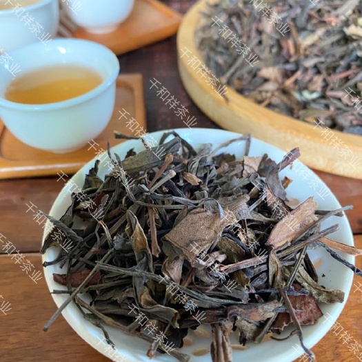 饶平县潮州凤凰单枞茶炭焙单丛茶清香型茶叶春茶茶头48小时内发货
