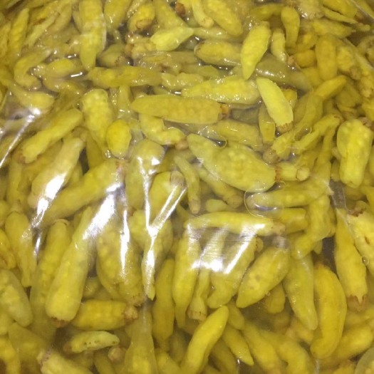 重庆市泡椒  酱腌菜云南小米辣泡辣椒 野山椒定制批发