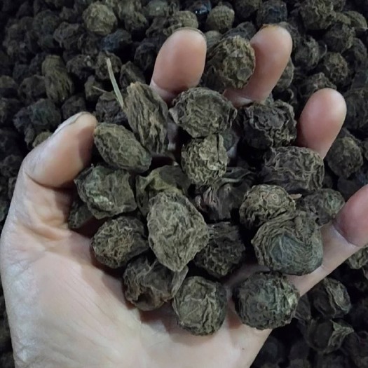 腾冲市 从未有过的高质量乌梅