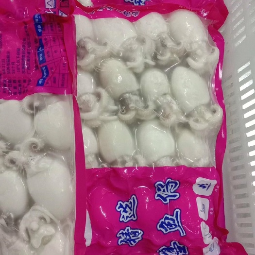 江门新鲜墨鱼仔