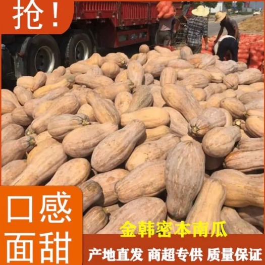 天门市蜜本南瓜大量上市价格不高，质量保证，诚信经营，畅销国内外