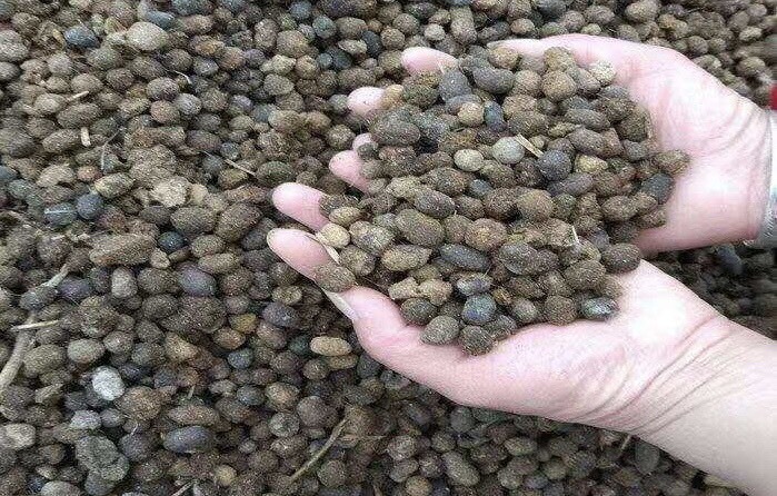 青岛羊粪 各种动物粪便