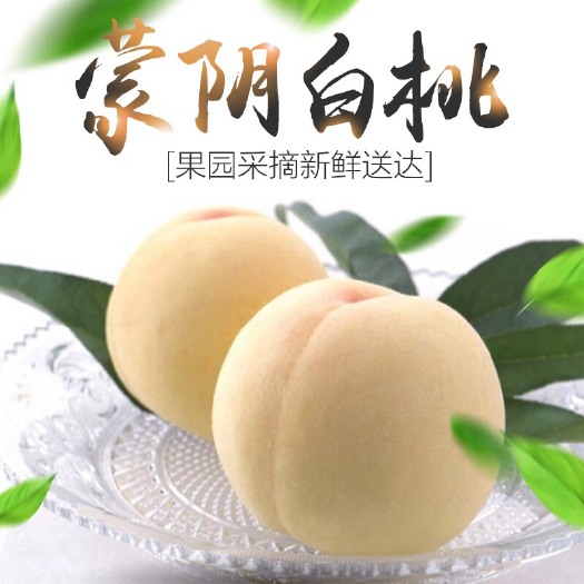 蒙阴县 蒙阴白桃产地直发口感好品质过硬坏果包赔售后有保障