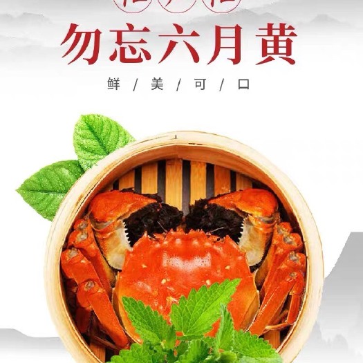 当涂县大公圩大闸蟹 大公圩螃蟹