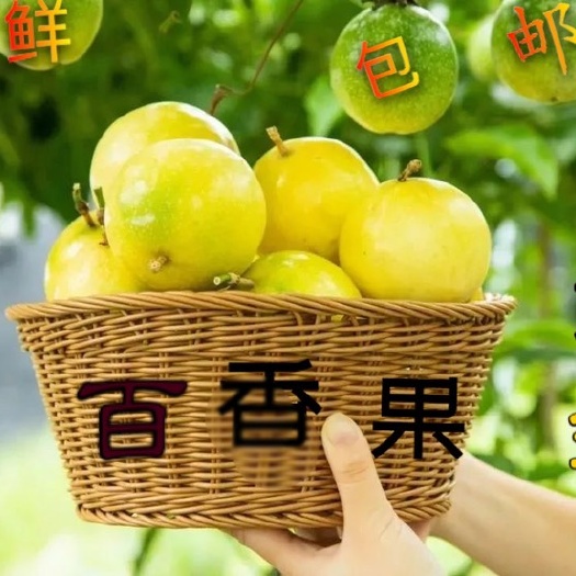 钦蜜9号黄金百香果5斤装大果新鲜水果纯甜现摘现发一件包邮