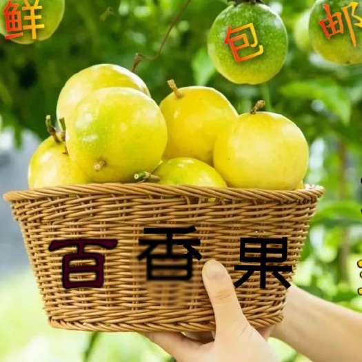 漳浦县钦蜜9号黄金百香果5斤装大果新鲜水果纯甜现摘现发一件包邮
