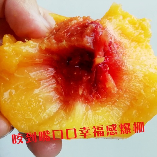 江陵县 三湖黄桃锦绣黄桃毛桃现摘新鲜水果现发产地直发多买多送