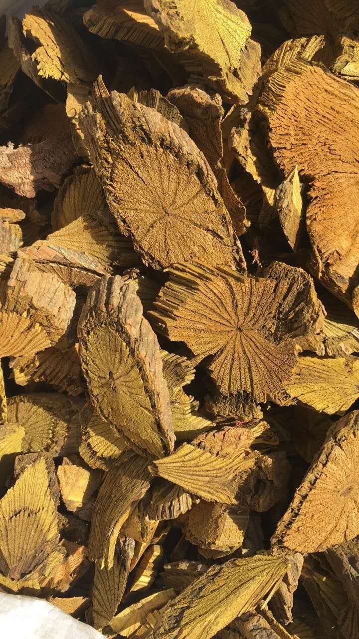 玉林大货供应｛黄藤｝可批量可零售量大从优【包邮】
