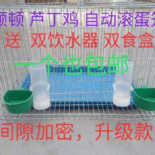 兰考县鸡笼  芦丁鸡桂花雀篮胸鹌鹑专用自动滚蛋笼