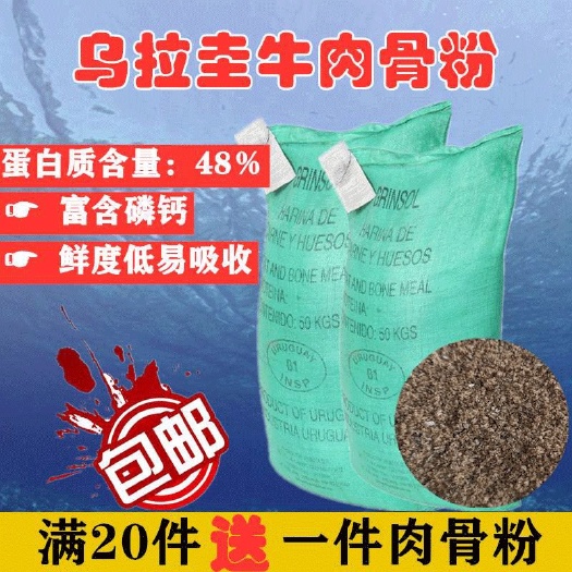 天津宠物饲料  蛋白质补充饲料批发高蛋白乌拉圭牛肉骨粉 猫粮狗粮