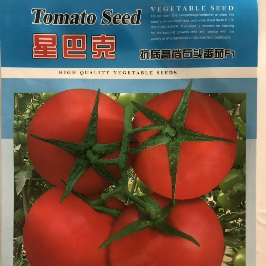 西红柿种子  抗病红果石头番茄 无限生长 果硬厚肉 耐裂果