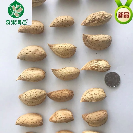 寿县 生刀果 生巴旦木 动物磨牙500g
