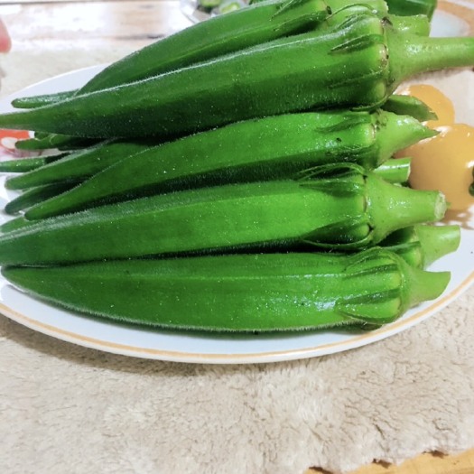 常熟市 秋葵新鲜绿霸秋葵蔬菜水果秋葵 【绿霸秋葵低至3元一斤