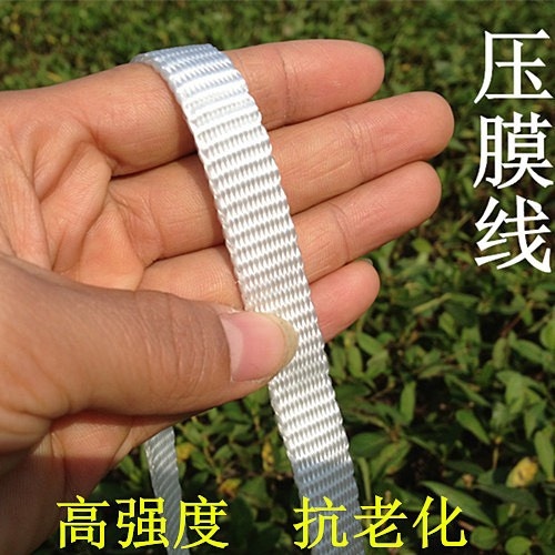 台州压膜带 厂家直销压膜线 大棚压膜绳 高强度 温室资材