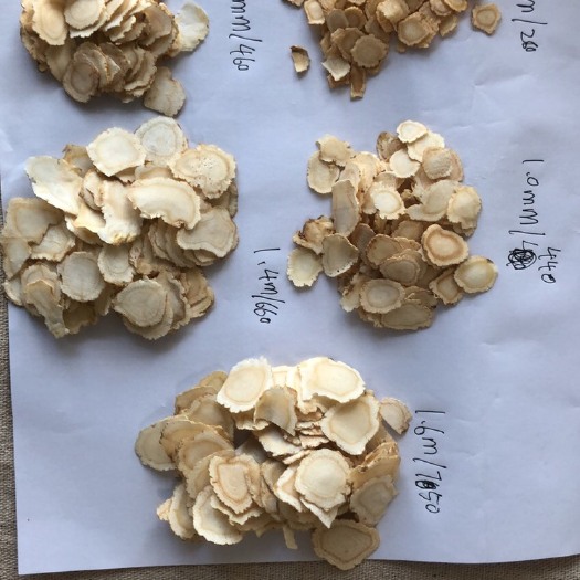 深圳 西洋参0.8参片