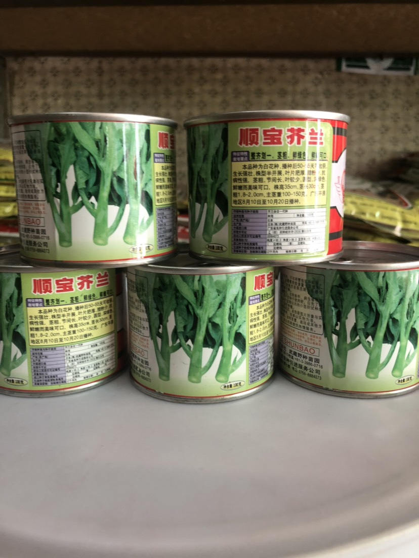 平远县日本杂交顺宝芥兰种子 深绿色 叶片肥厚 腊粉少 抗病性强