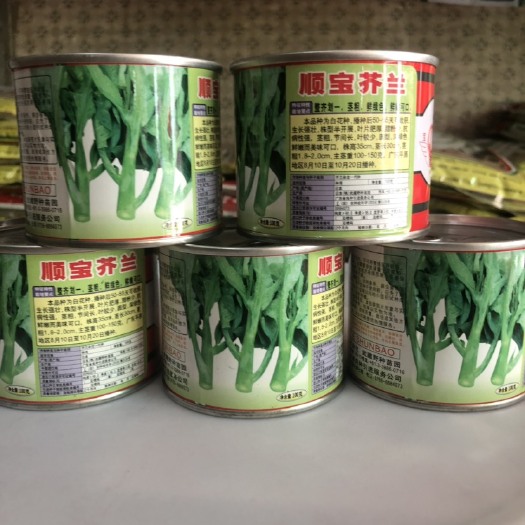 平远县杂交顺宝芥兰种子 深绿色 叶片肥厚 腊粉少 抗病性强