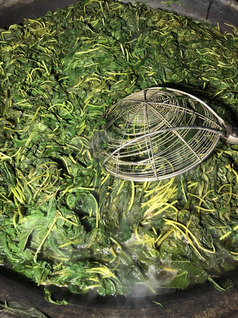 传统古法手工制作干芝麻叶——黑芝麻芽叶