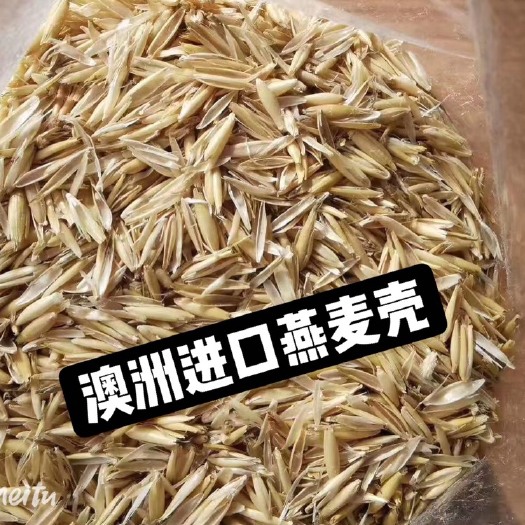 东莞市 优质燕麦壳澳洲