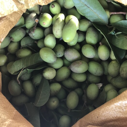 揭西县青橄榄批发 价格便宜