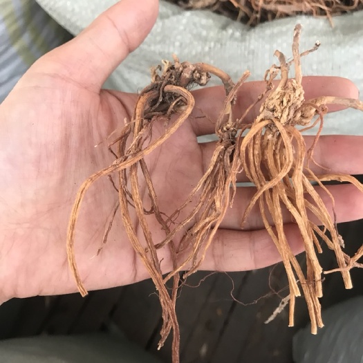 玉林地胆草 云南龙胆草 正品保证中药材
