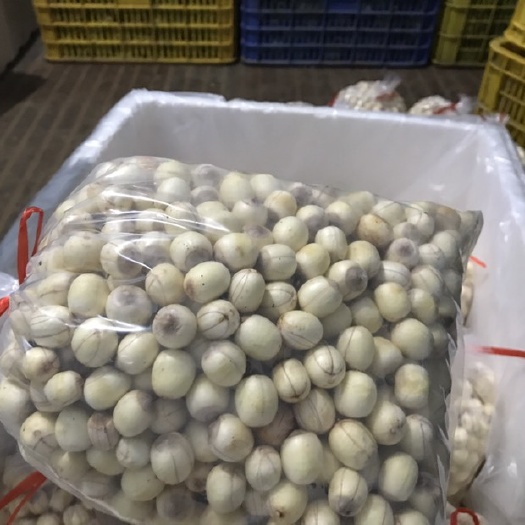 柳城县红莲子  优质红莲，精挑细选