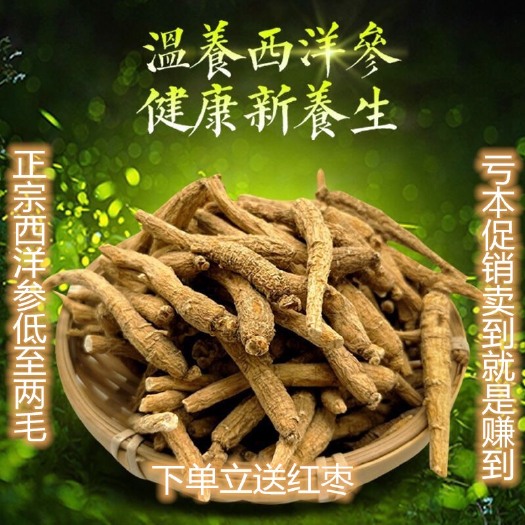 文山市 正宗西洋参整枝长白山人参花旗参天然正品煲汤泡水