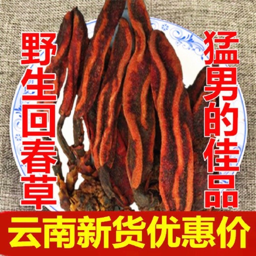 安国市中药材回春草 回春草！正品！无硫新货！干净无杂质！实拍图！品质保证！包邮到