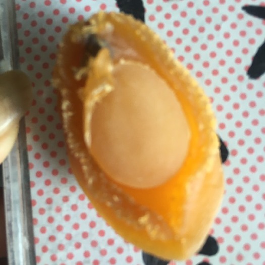 漳浦县鲍鱼干 【润优品】味道鲜美，营养丰富，素有海味之冠，被誉为海洋软黄金