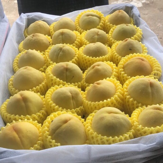 宜城市 湖北锦绣黄桃