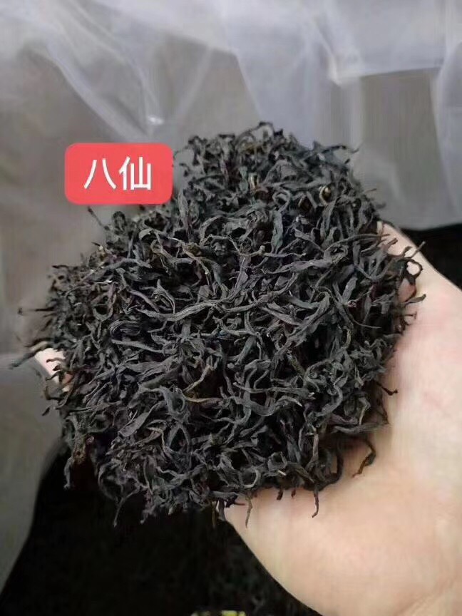 凤凰单枞 潮州凤凰高山单枞丛茶清香型送礼送茶叶礼盒