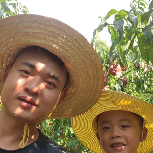 炎陵县 炎陵高山红心黄桃，果正味甜！