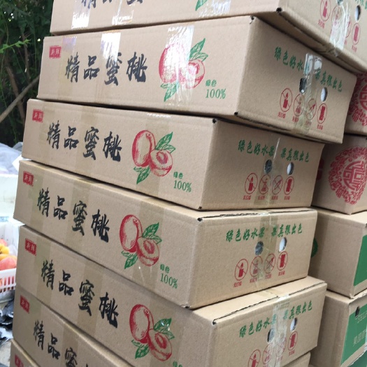 蒙阴县毛蟠桃 3-5两