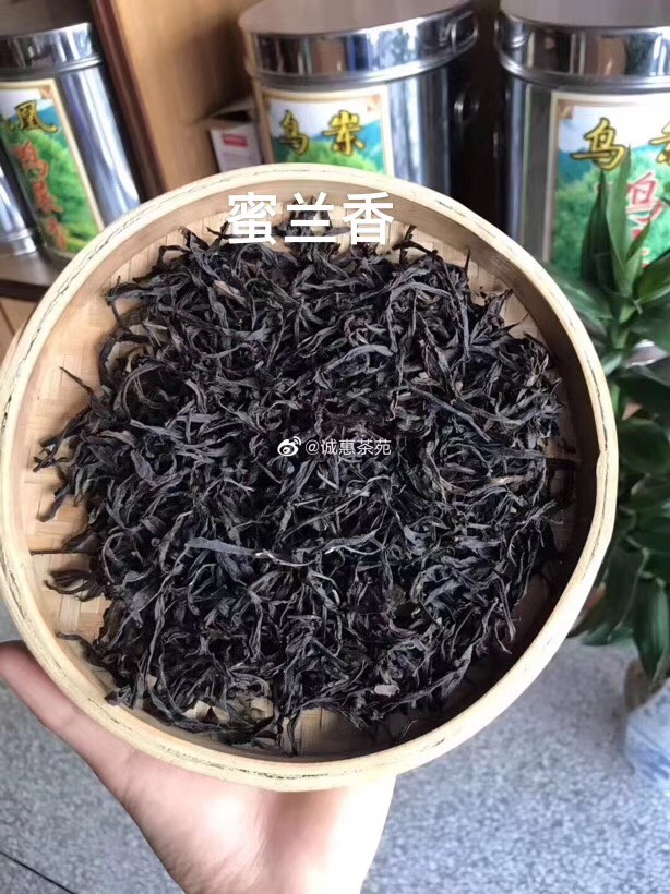 凤凰单枞 潮州凤凰高山单枞丛茶清香型送礼送茶叶礼盒
