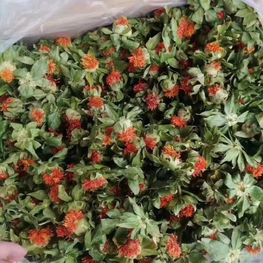 成都藏红花花瓣 红花果菠萝花红花果展会赶集地摊跑江湖热卖产品产地一手货源批发