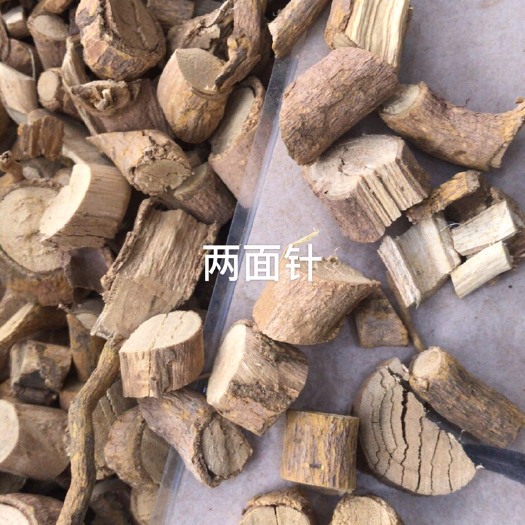 玉林两面针
