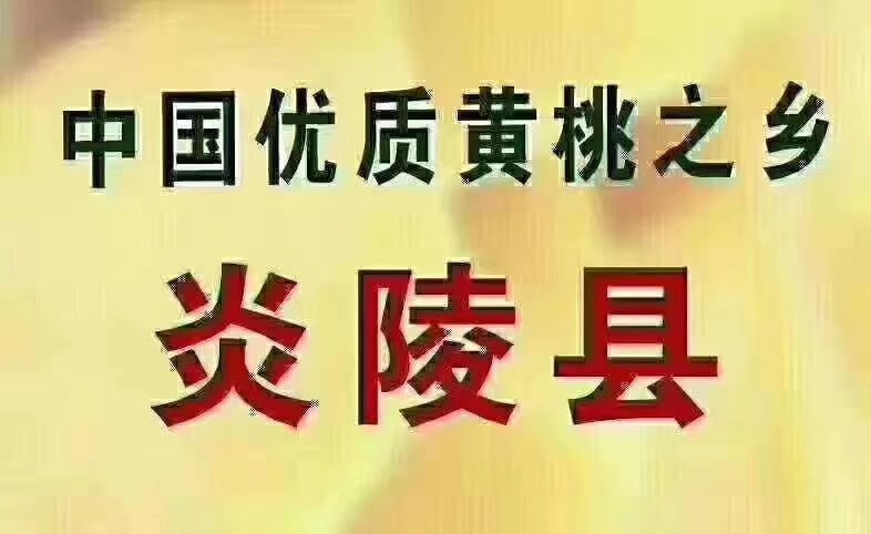 炎陵县锦绣黄桃 45mm以上 4两以上
