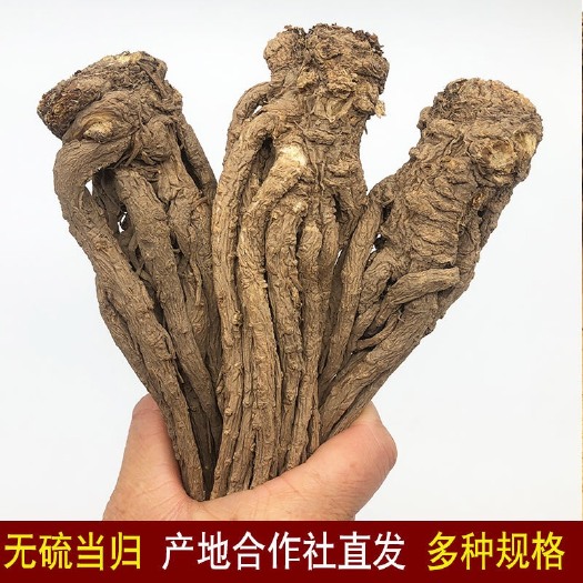 漳县 甘肃岷县当归无硫当归条当归片