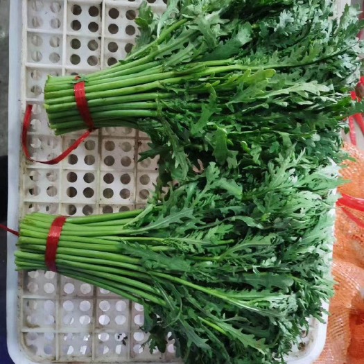 邯郸 精品茼蒿