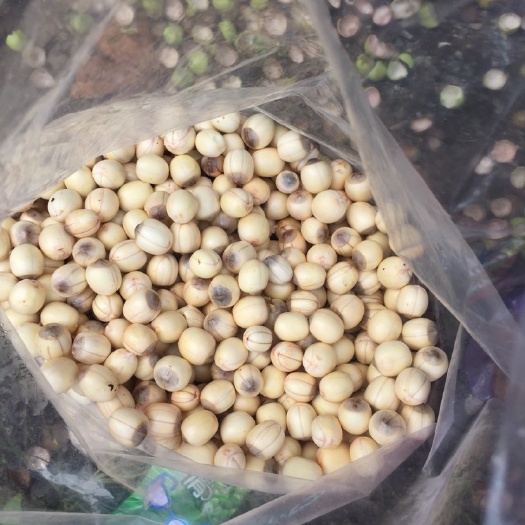 宁都县 纯手工剥壳红莲子