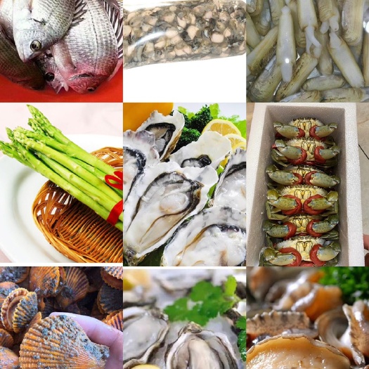 漳浦县漳州生蚝 生蚝批发零售