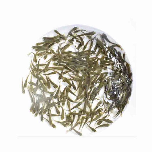 东海县白鲢鱼苗