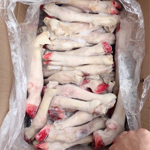 徐州羊蹄 长蹄  优质长蹄