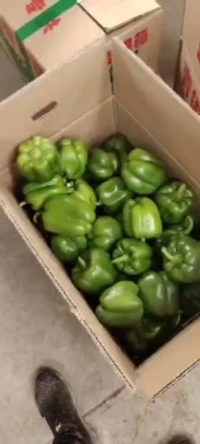 长治菜椒 甜辣