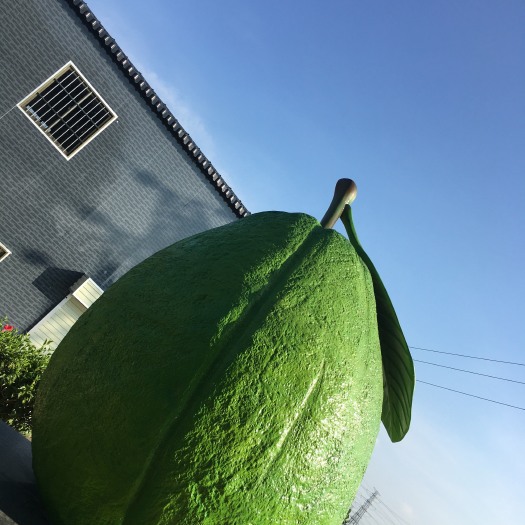 广州珍珠番石榴