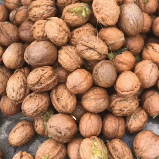 仁寿县 云南优质新鲜核桃