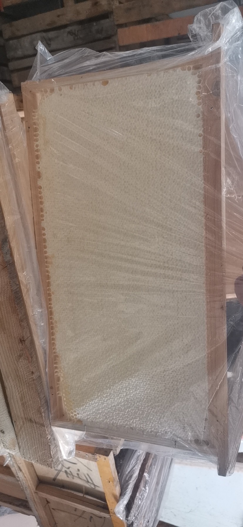 包邮包邮一张就包邮荆条蜜蜂巢蜜蜂场直发批发零售