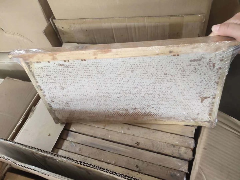 包邮包邮一张就包邮荆条蜜蜂巢蜜蜂场直发批发零售