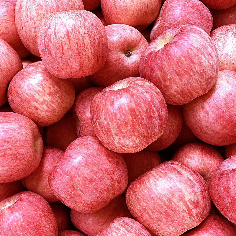 [红富士苹果批发] 各种品种苹果供应价格15元/斤 