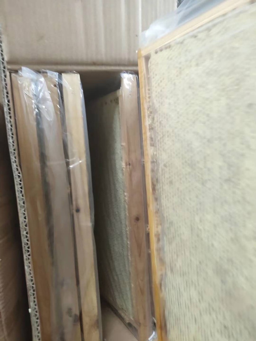 包邮包邮一张就包邮荆条蜜蜂巢蜜蜂场直发批发零售